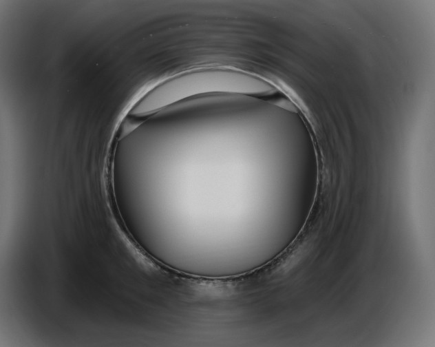 X0000086730901200705041345