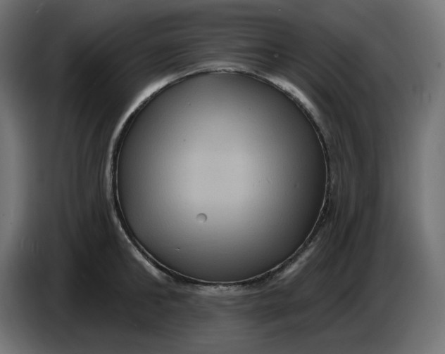 X0000086730902200705041345