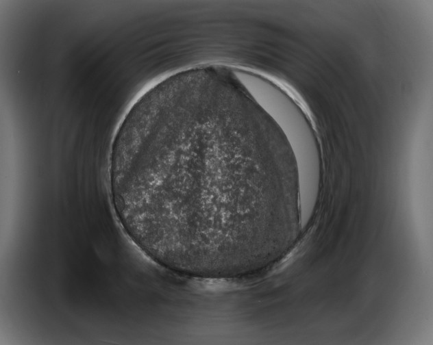 X0000086730903200705041345