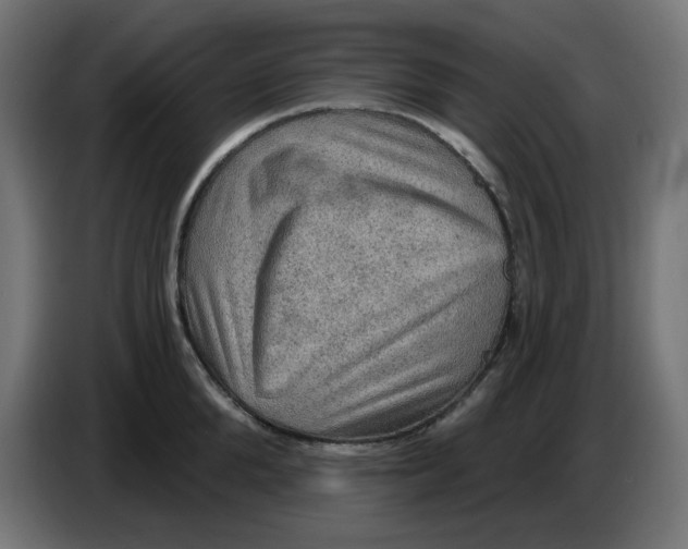 X0000086730904200705041345