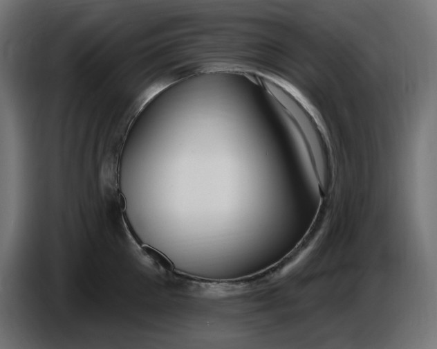 X0000086730905200705041345