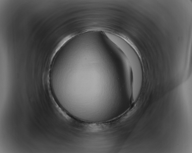 X0000086730906200705041345