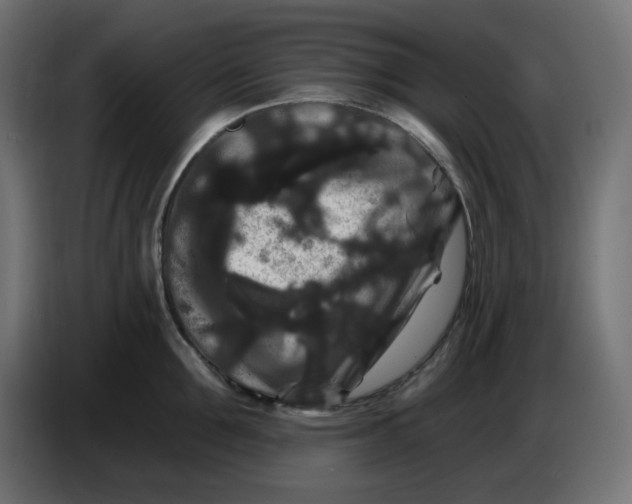 X0000086730907200705041345