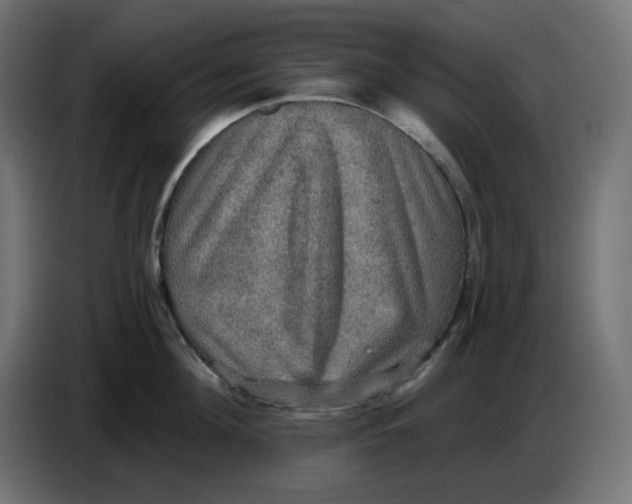 X0000086730908200705041345