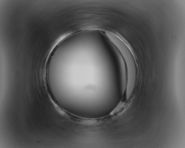 X0000086730909200705041345