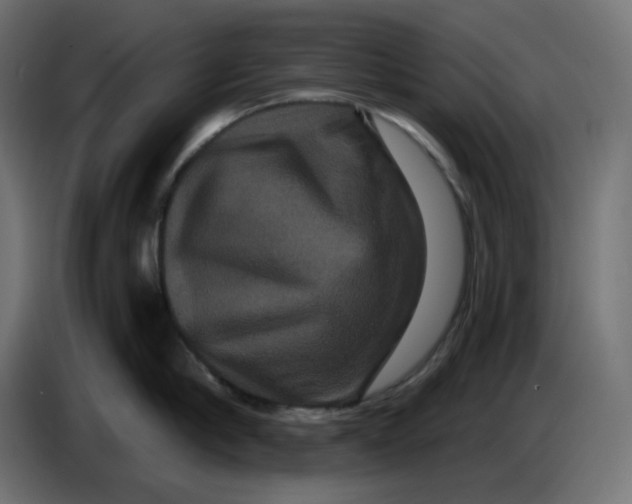 X0000086730910200705041345