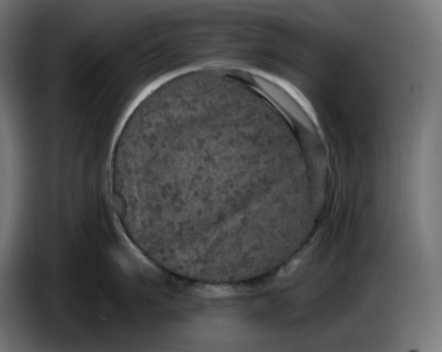 X0000086730911200705041345