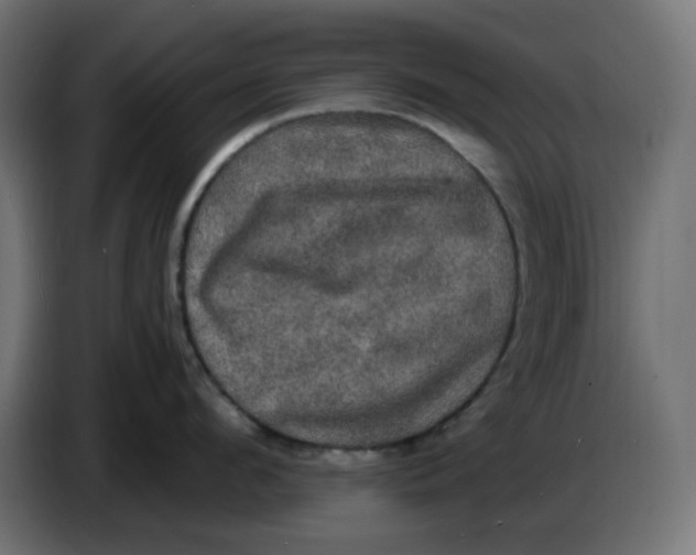 X0000086730912200705041345