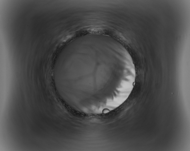 X0000086730913200705041344