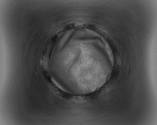 X0000086730914200705041344