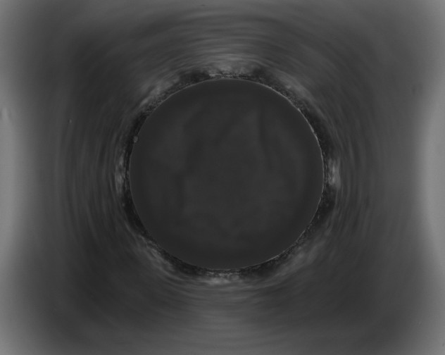 X0000086730915200705041344