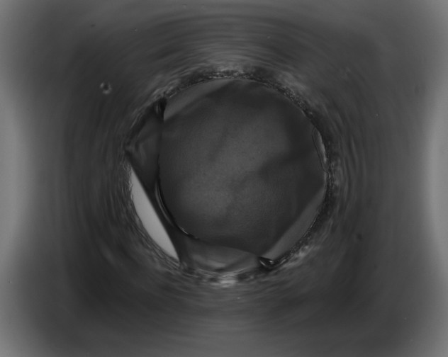 X0000086730916200705041344