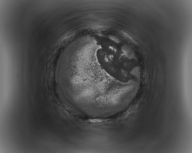 X0000086730917200705041344