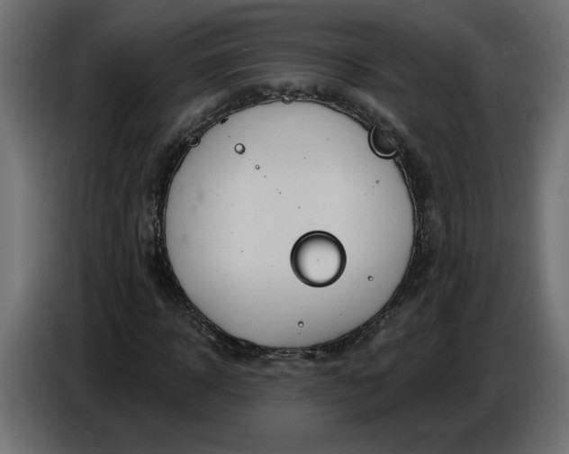 X0000086730918200705041344