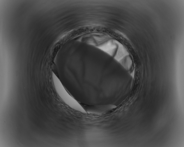 X0000086730919200705041344