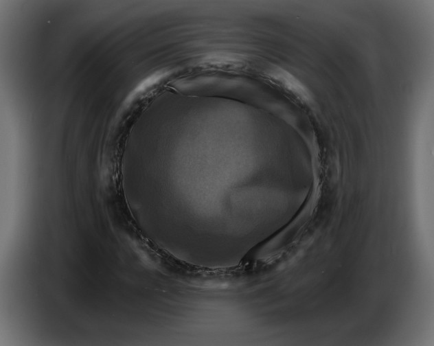 X0000086730920200705041344