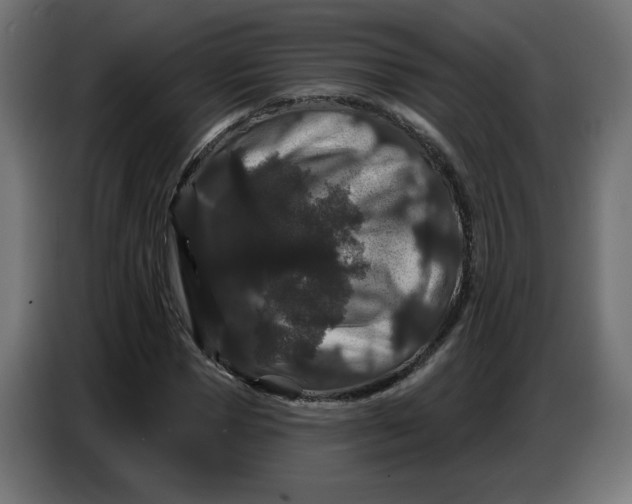 X0000086730921200705041344