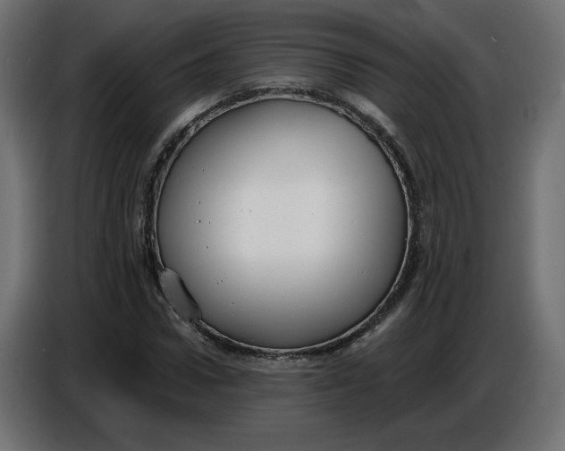 X0000086730922200705041344