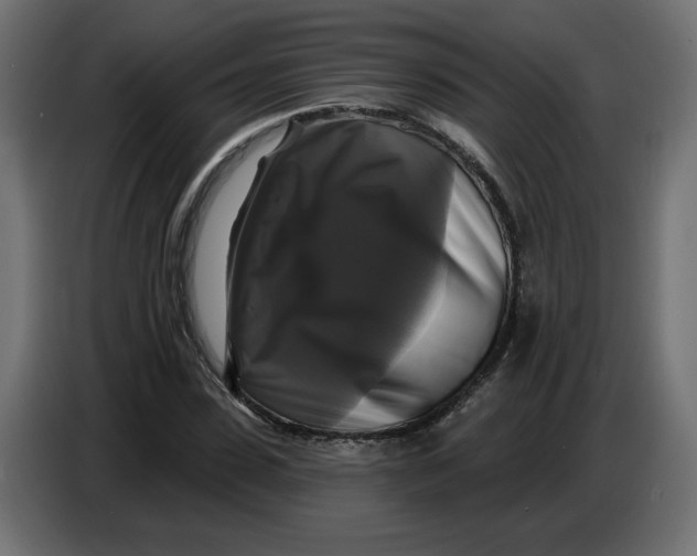 X0000086730923200705041344