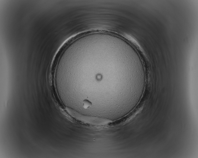 X0000086730924200705041344