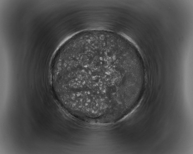 X0000086730925200705041344