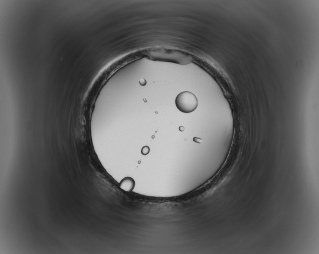 X0000086730926200705041344