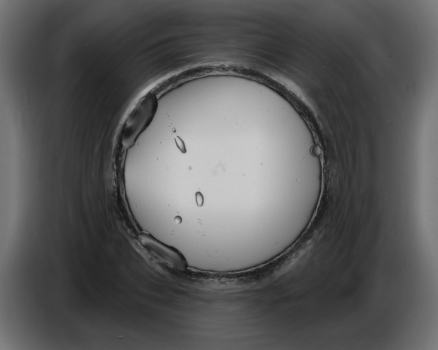 X0000086730927200705041344