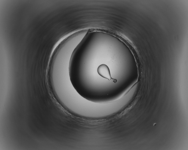 X0000086730928200705041344