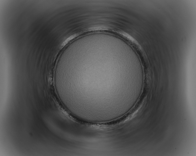 X0000086730929200705041344