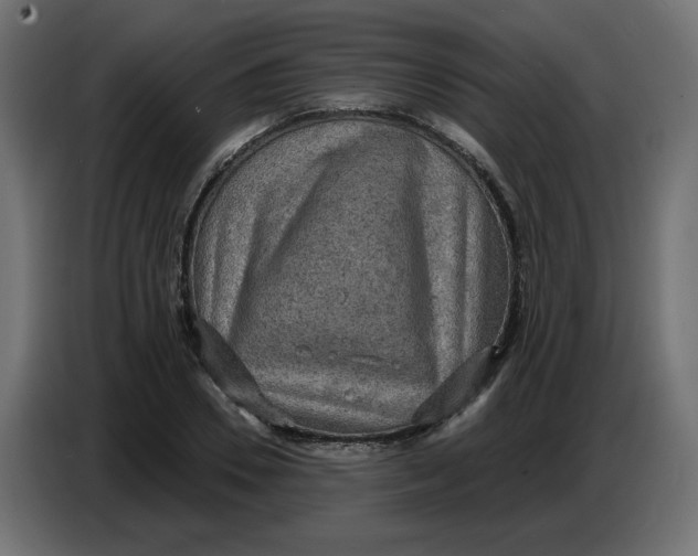 X0000086730930200705041344