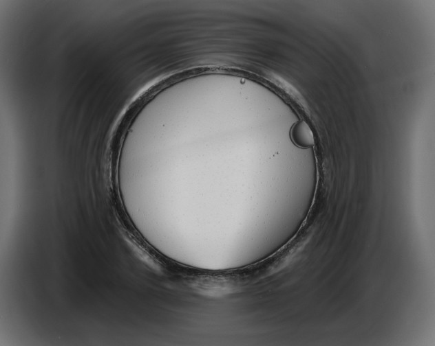 X0000086730931200705041344