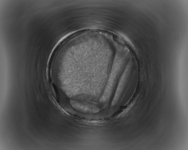 X0000086730932200705041344