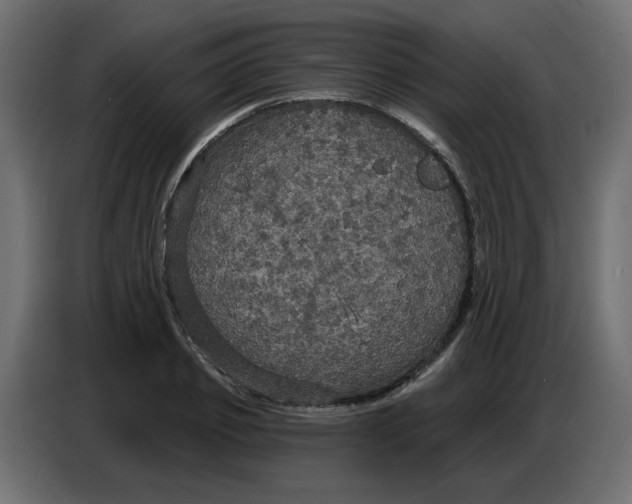 X0000086730933200705041344