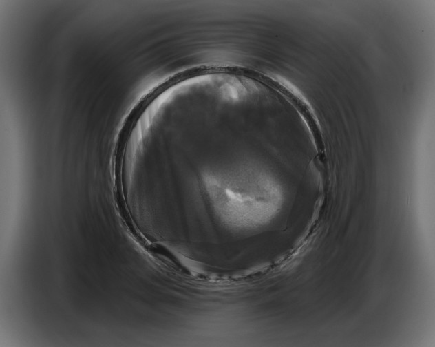 X0000086730935200705041344