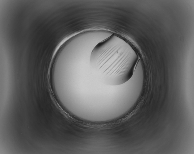 X0000086730936200705041345