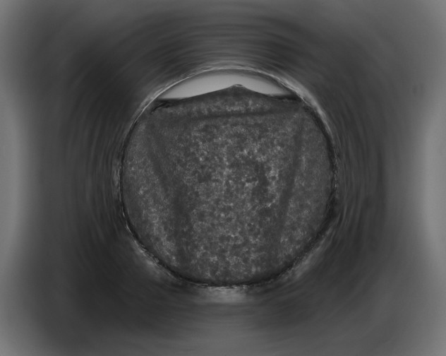 X0000086730937200705041345