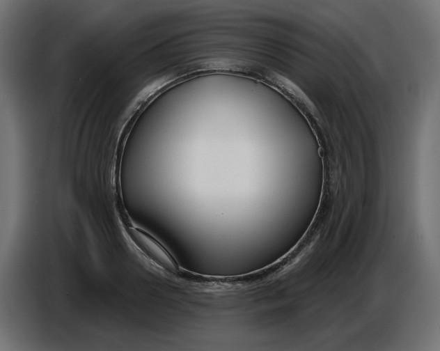 X0000086730938200705041345