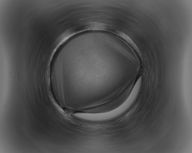 X0000086730939200705041345