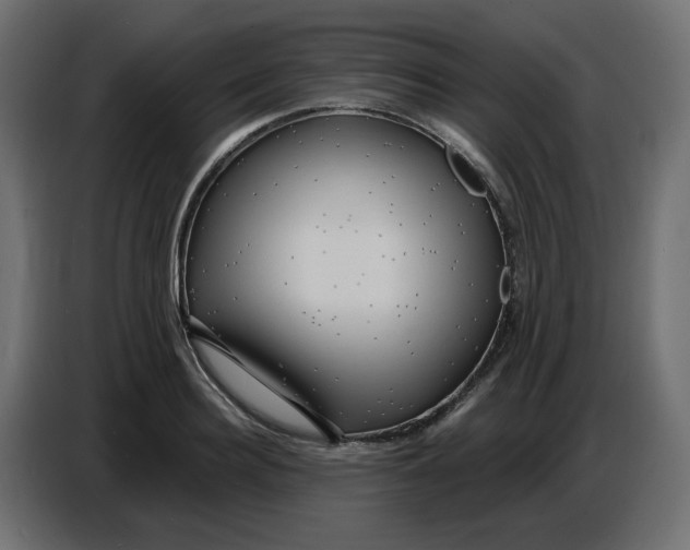 X0000086730940200705041345