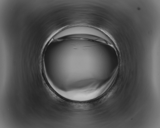 X0000086730941200705041345