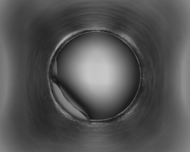 X0000086730942200705041345