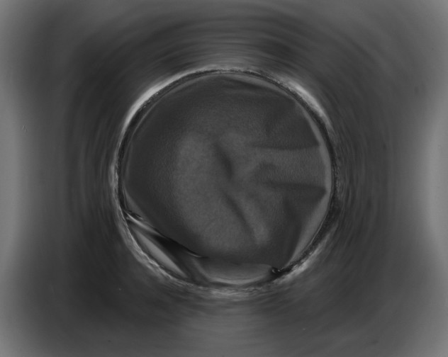 X0000086730944200705041345