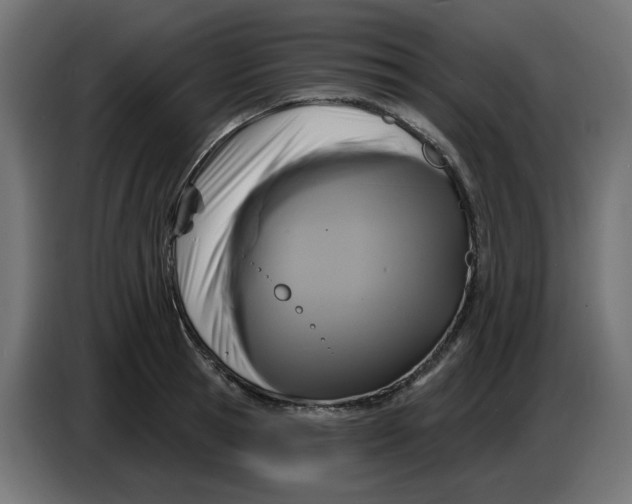 X0000086730945200705041345