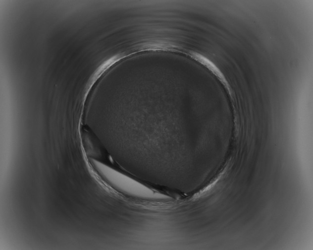 X0000086730946200705041345