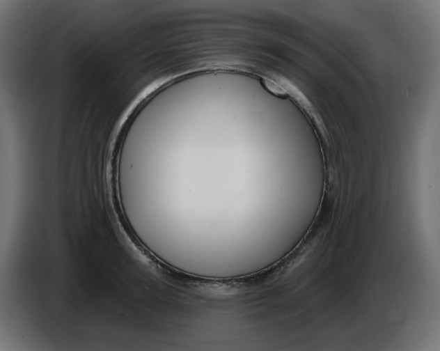 X0000086730947200705041345