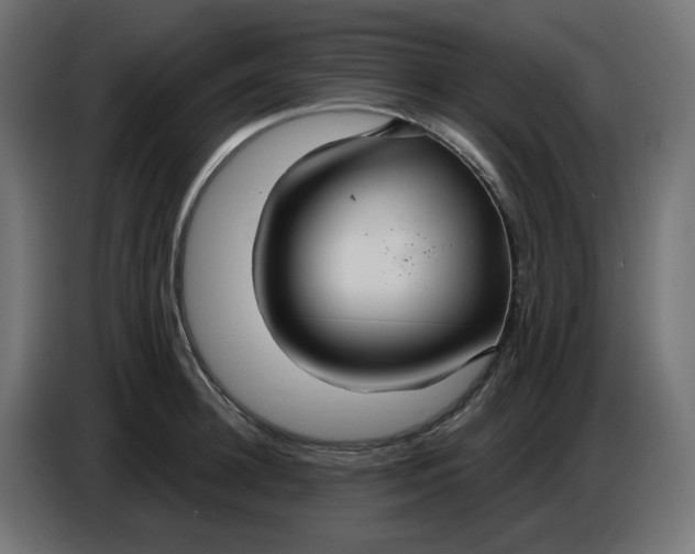 X0000086730948200705041345