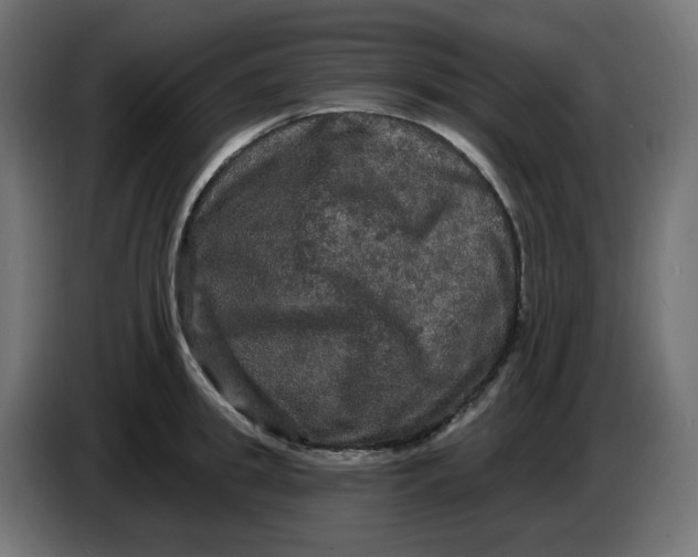 X0000086730949200705041345