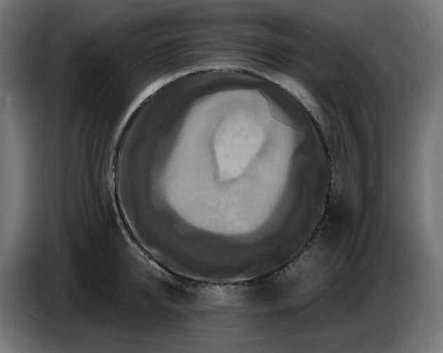 X0000086730950200705041345