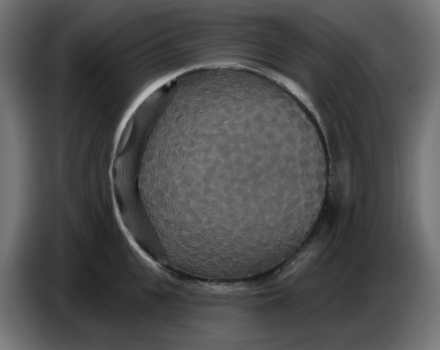 X0000086730951200705041345