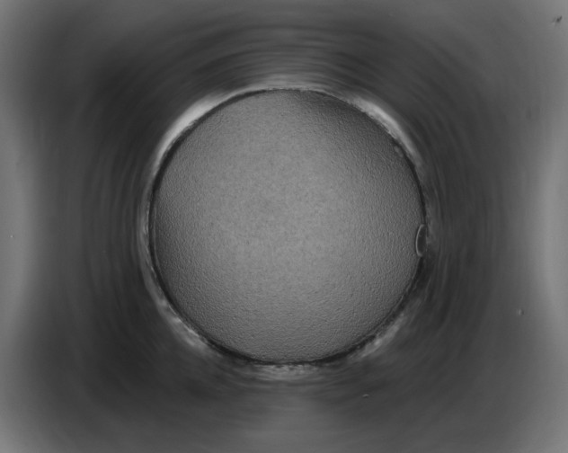 X0000086730952200705041345